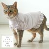 MIX4.5kg(首21/胴36/丈34cm)のニコちゃんはピンクグレージュのDSを着用