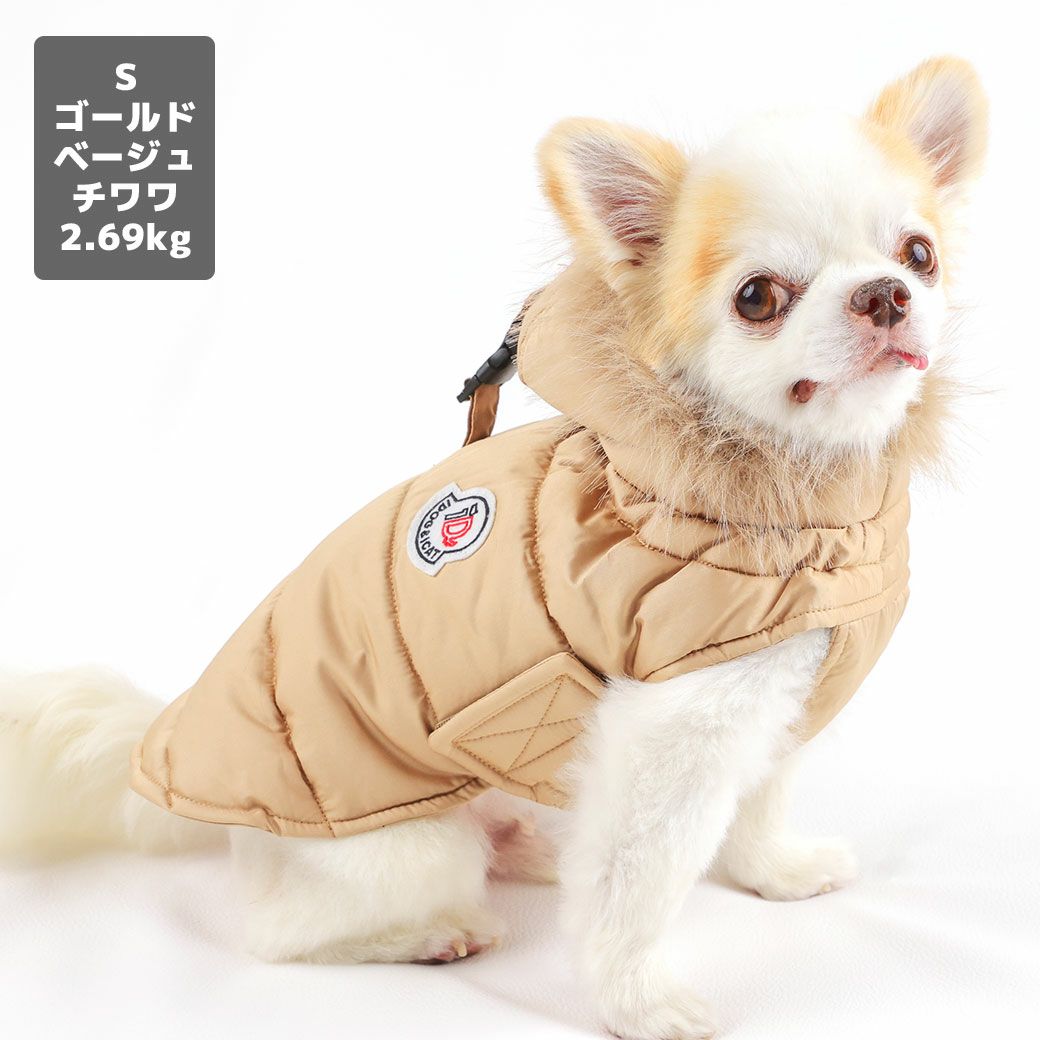 チワワ2.69kg(首21/胴34/丈25cm)の涼央くんはゴールドベージュのSを着用