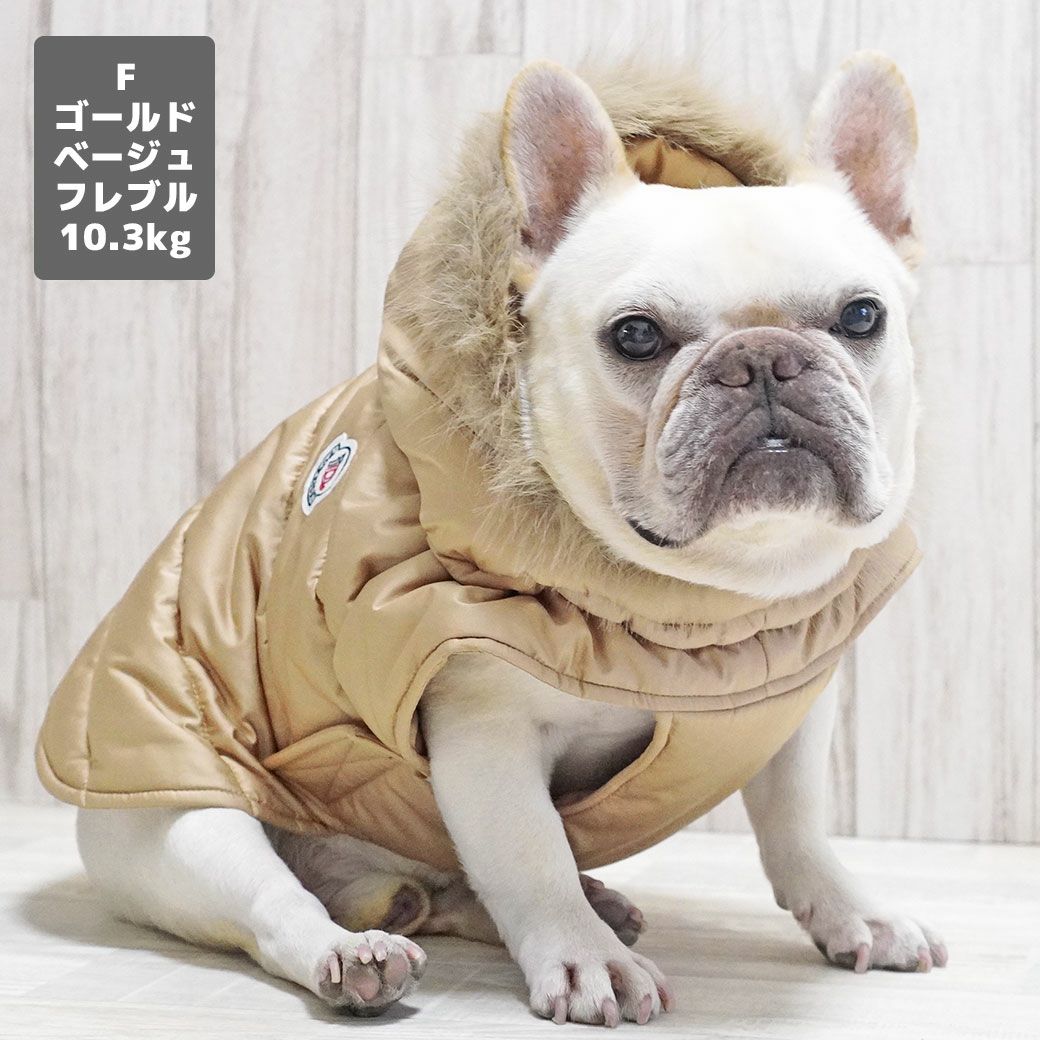 フレブル10.3kg(首38/胴56/丈34cm)のブランくんはゴールドベージュのFを着用