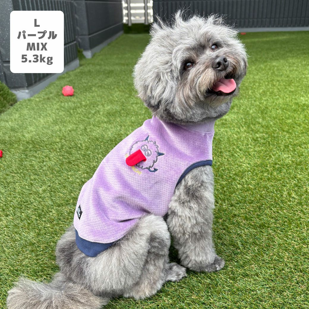 MIX5.3kg(首28/胴42/丈35cm)のごまくんはパープルのLを着用
