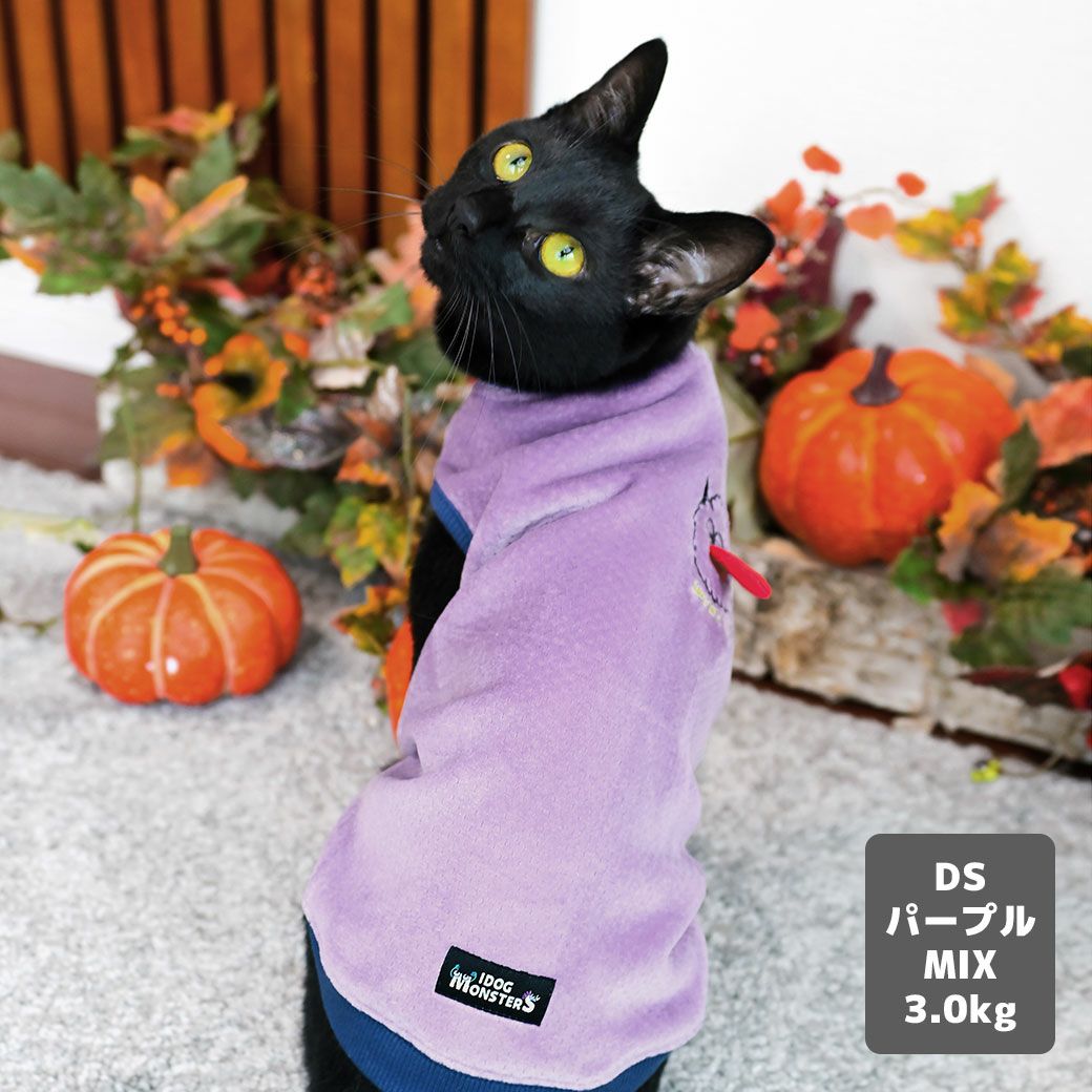 MIX3.0kg(首16.5/胴29/丈43cm)の十花ちゃんはパープルのDS着用