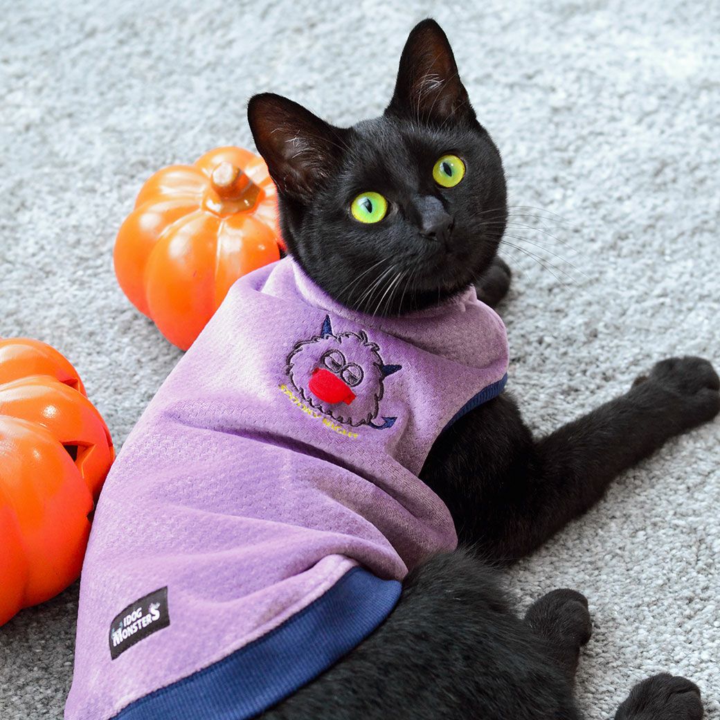 みんなでオヤツパーティしよう