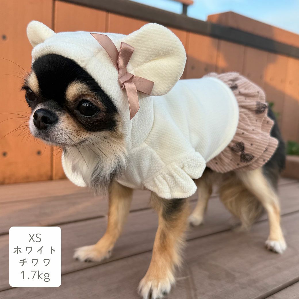 チワワ1.7kg(首18/胴23/丈27cm)のざらめちゃんはホワイトのXSを着用