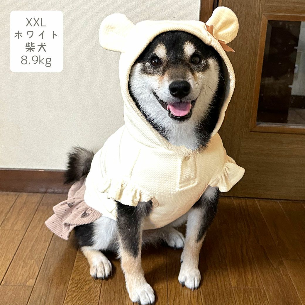 柴犬8.9kg(首33/胴54/丈39cm)のチョコプリンちゃんはホワイトのXXLを着用