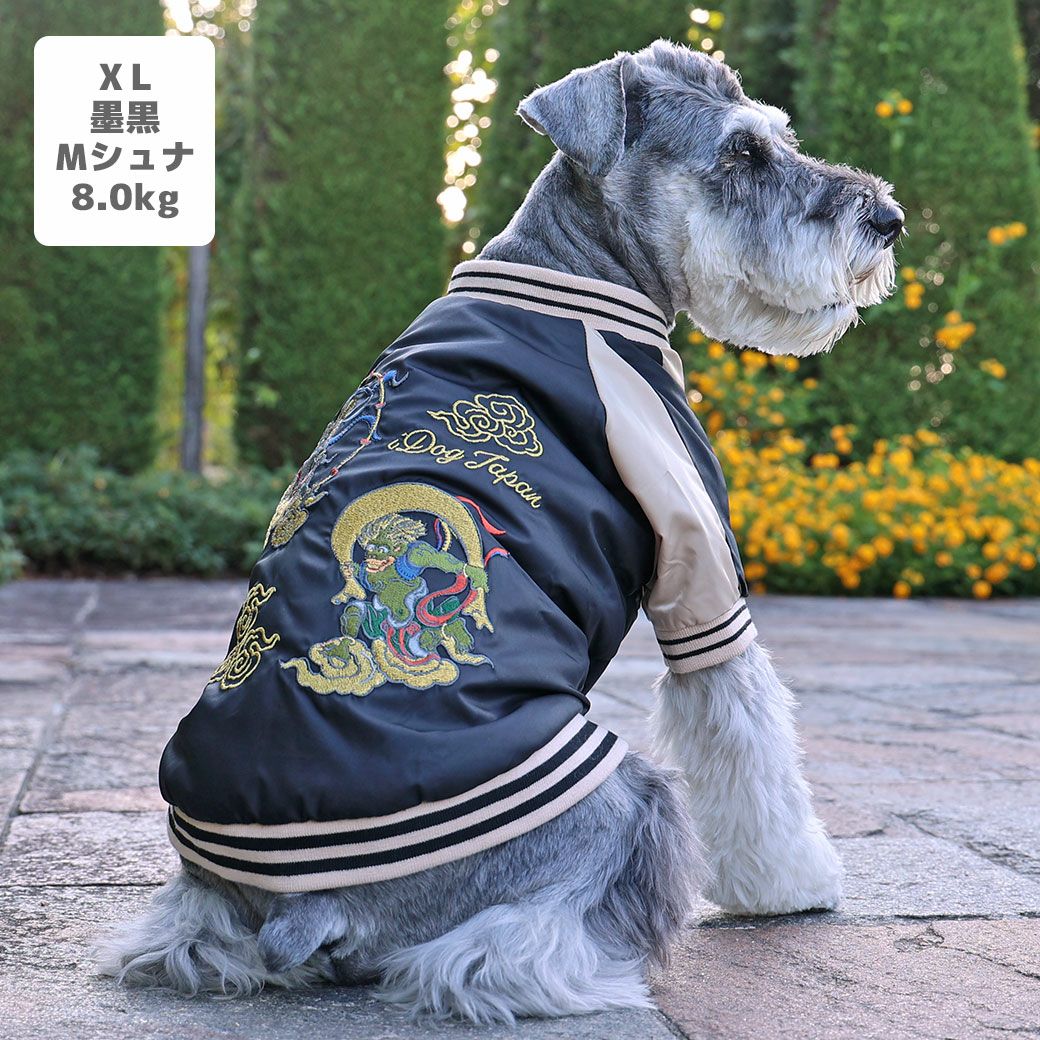 ミニチュアシュナウザー8.0kg(首30/胴48/丈37cm)のマハロくんは墨黒のXLを着用