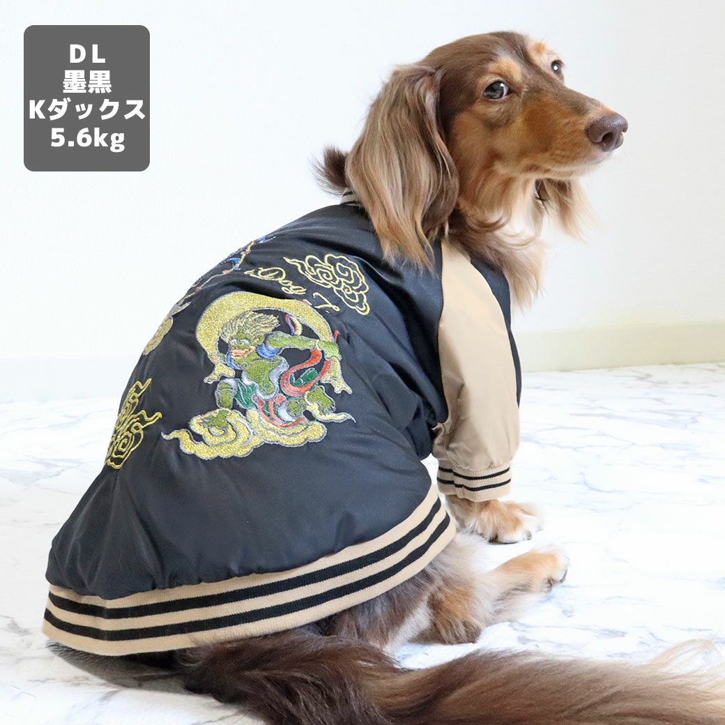 カニヘンダックス5.6kg(首35/胴43/丈37cm)のハクくんは墨黒のDLを着用