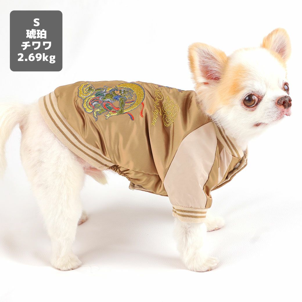 チワワ2.69kg(首21/胴34/丈25cm)の涼央くんは琥珀のSを着用