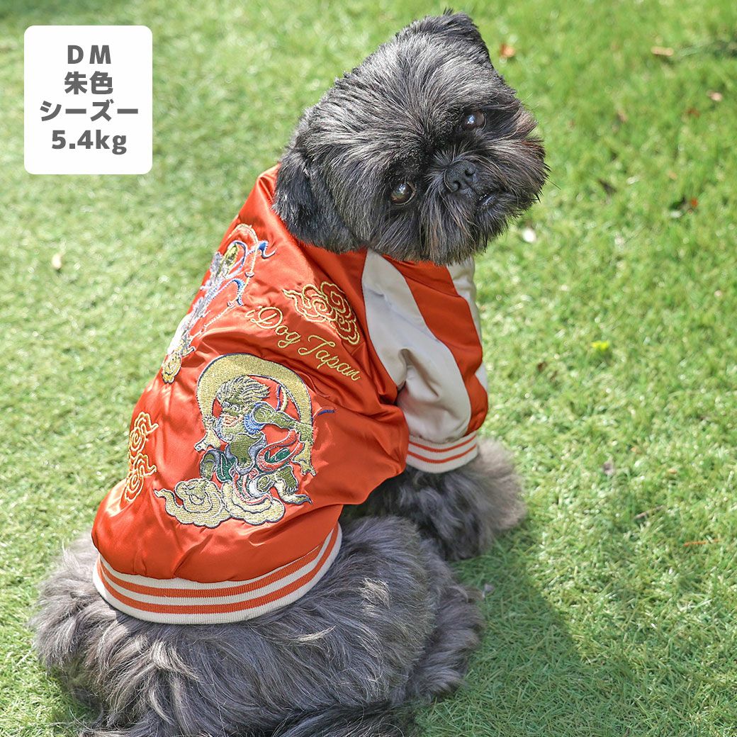 シーズー5.4kg(首26/胴38/丈38cm)のつぶくんは朱色のDMを着用