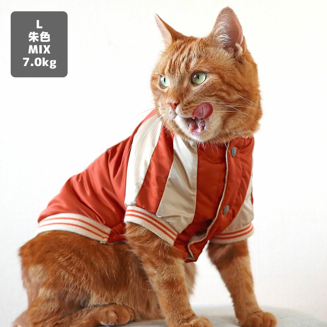 アメショ7.0kg(首28/胴48/丈28cm)のタラくんは朱色のL着用