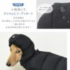 小物使いでオシャレにコーディネート