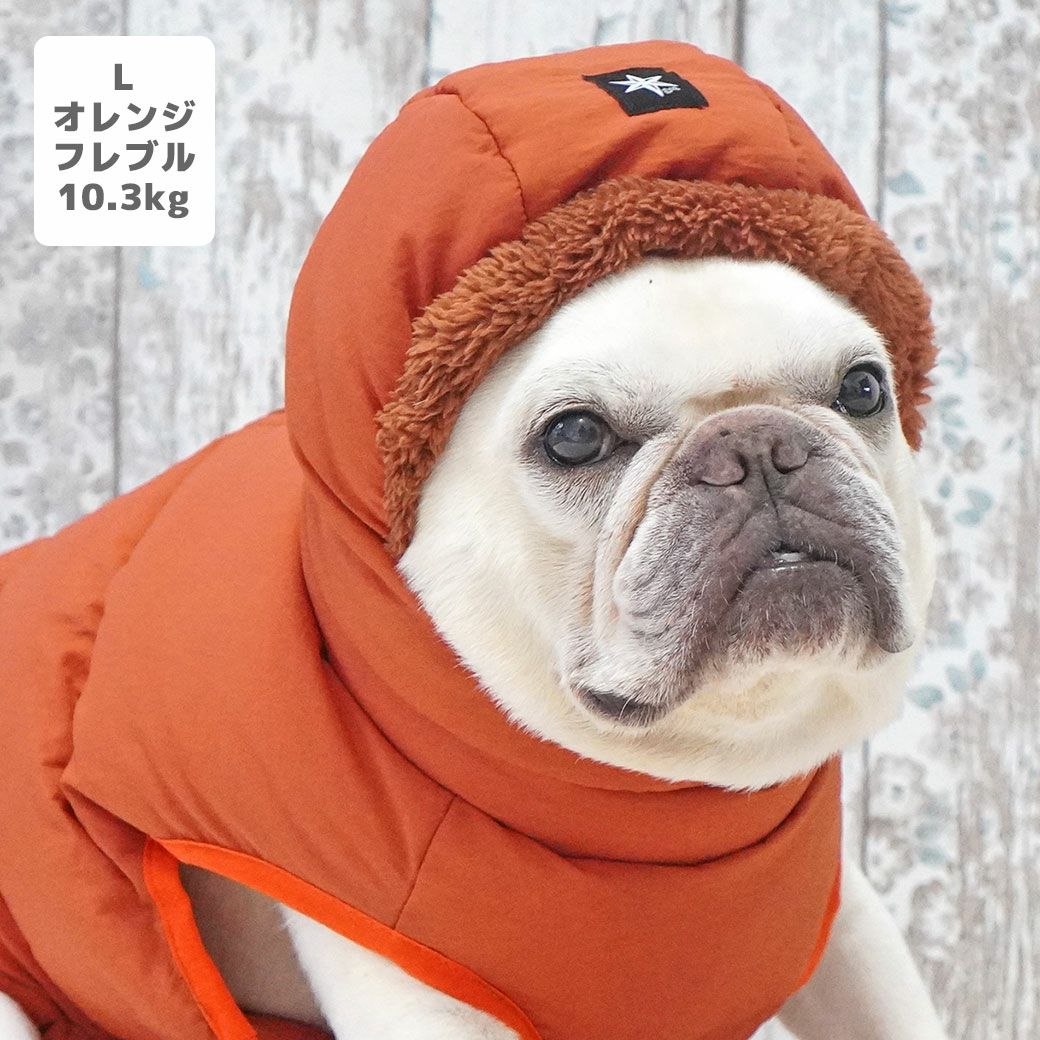 フレブル10.3kg(首38/胴56/丈34cm)のブランくんはオレンジのLを着用
