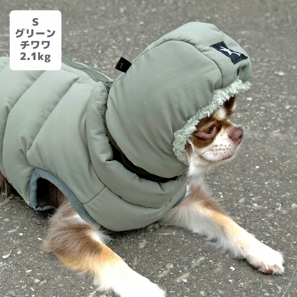 チワワ2.1kg(首19.5/胴30/丈30cm)のオリーブくんはグリーンのSを着用