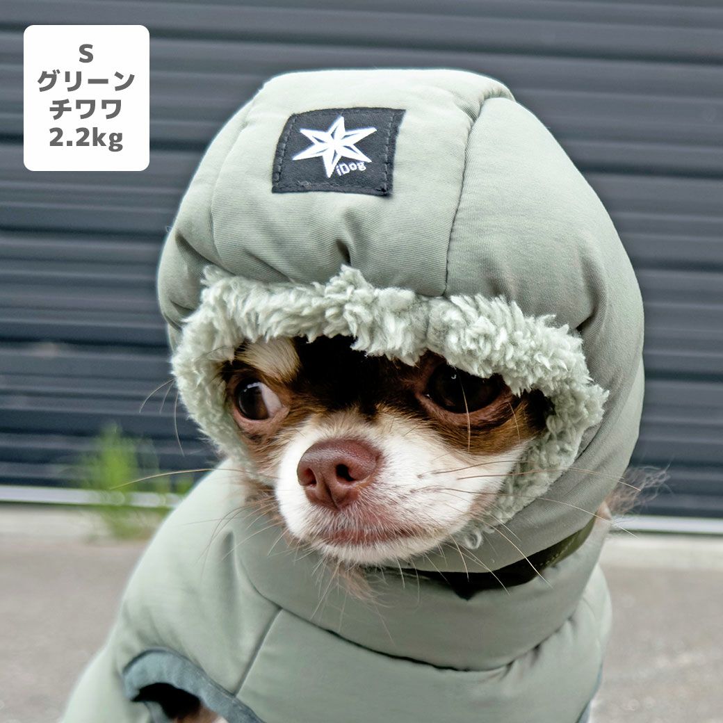 チワワ2.2kg(首18.5/胴30/丈30cm)のピクルスくんはグリーンのSを着用