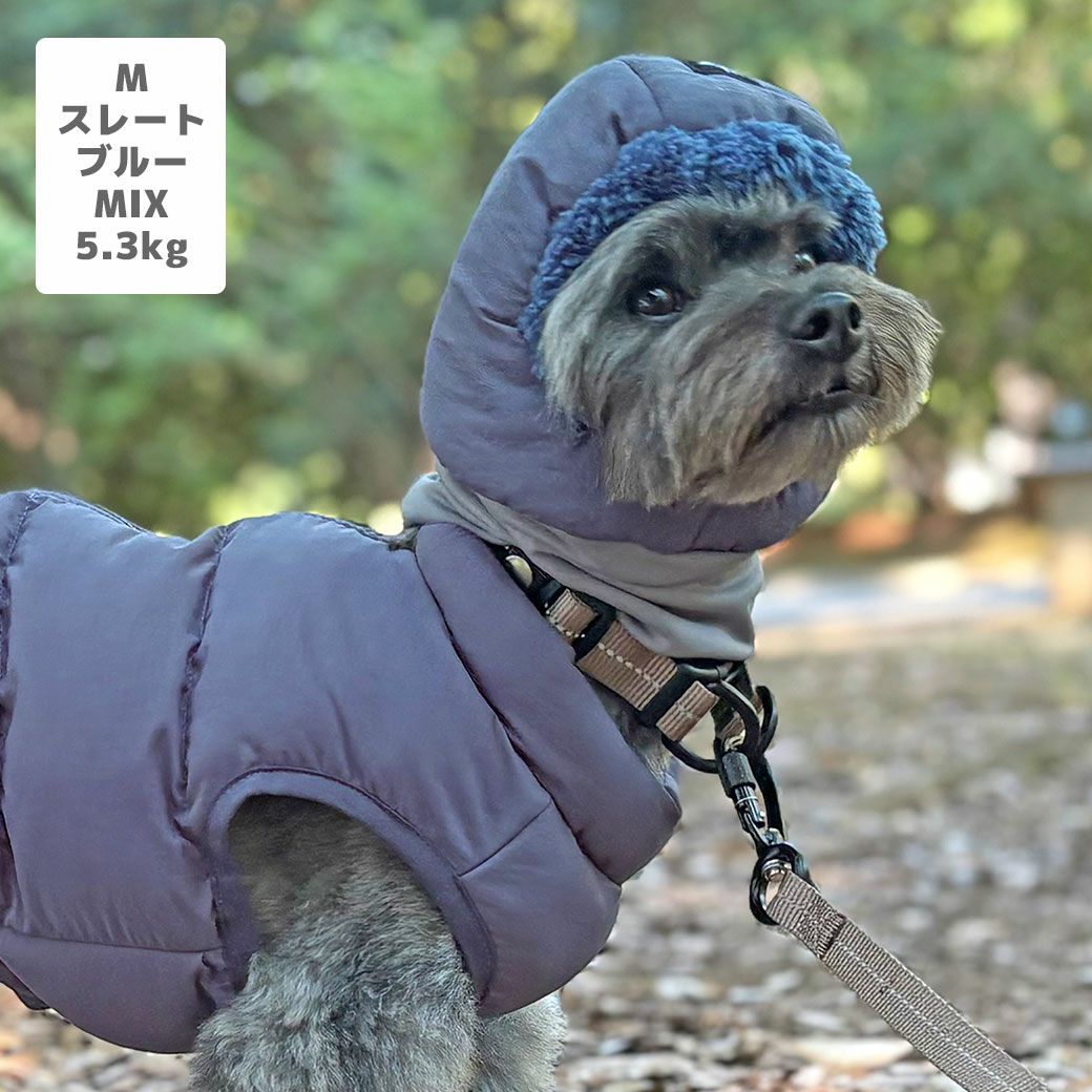 MIX5.3kg(首28/胴42/丈35cm)のごまくんはスレートブルーのMを着用