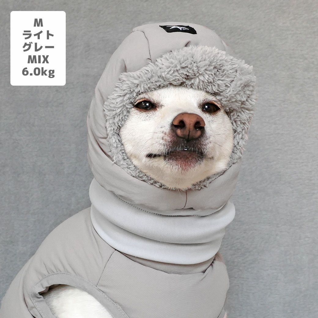 豆柴6.0kg(首31/胴45/丈33cm)のラテちゃんはライトグレーのMを着用