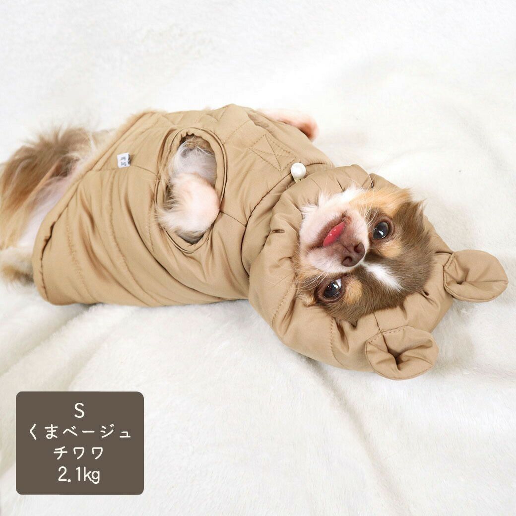 チワワ2.1kg(首19.5/胴30.5/丈22cm)の玉青ちゃんはくまベージュのSを着用