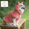 コーギー10.6kg(首36/胴51/丈37cm)のラテちゃんはくまテラコッタのXXLを着用