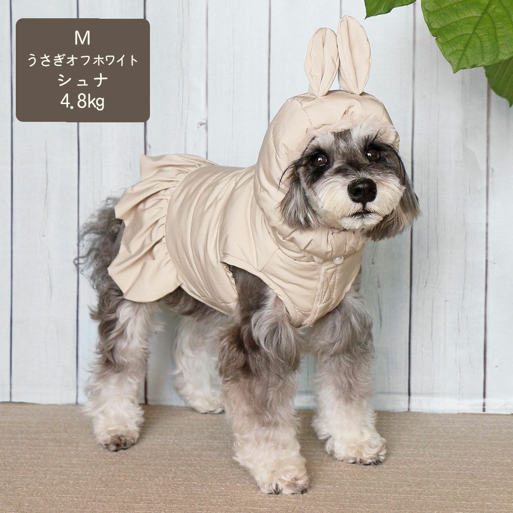 ミニチュアシュナウザー4.8kg(首22/胴39/丈29cm)のあろあちゃんはうさぎオフホワイトのMを着用