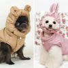 お耳付きのかわいい愛犬用アウター