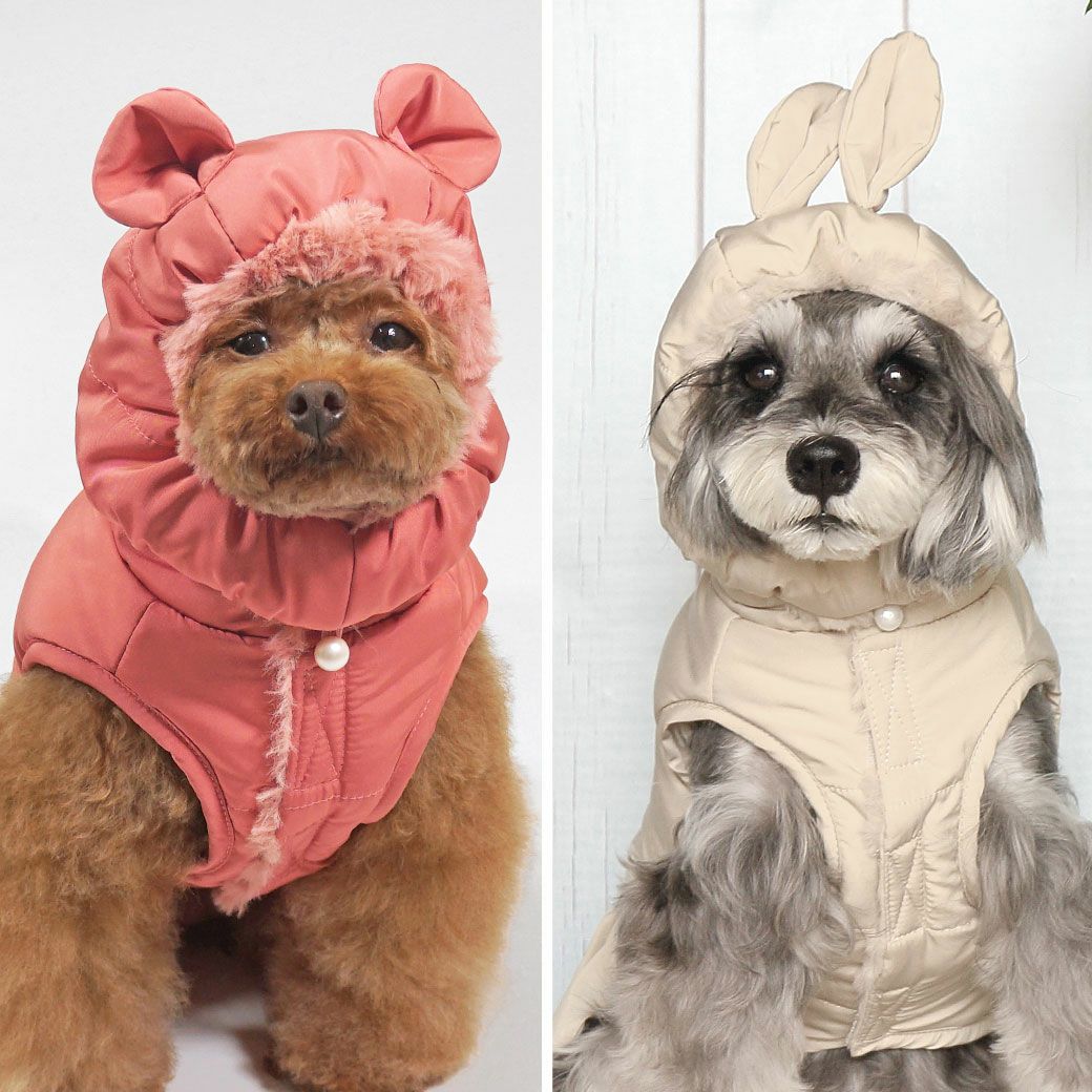 くまさん？うさぎさん？どっちがすき？