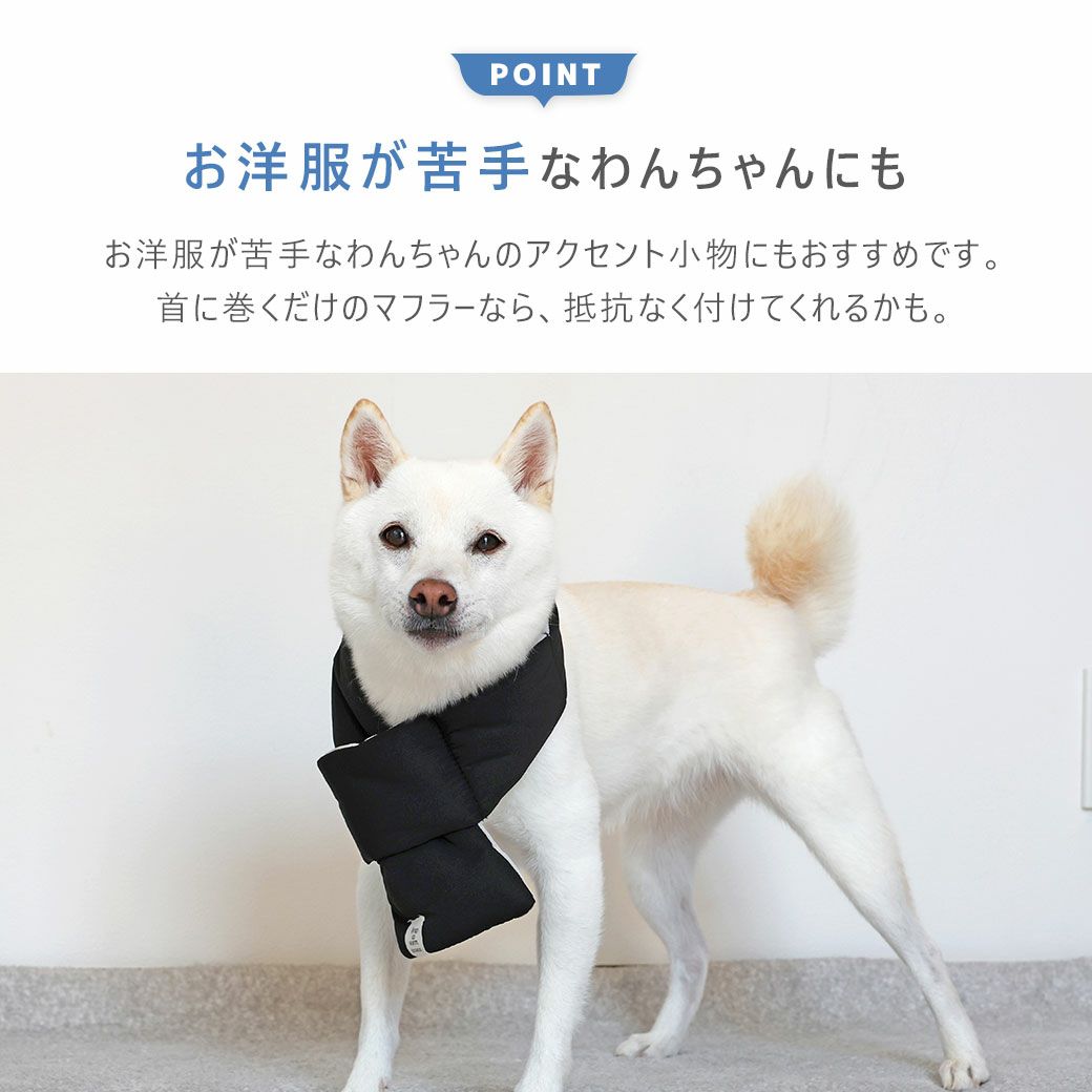 お洋服が苦手なわんちゃんのアクセント小物