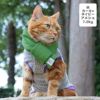 アメショ7.0kg(首28/胴48/丈28cm)のタラくんはカーキ×ネイビーのM着用