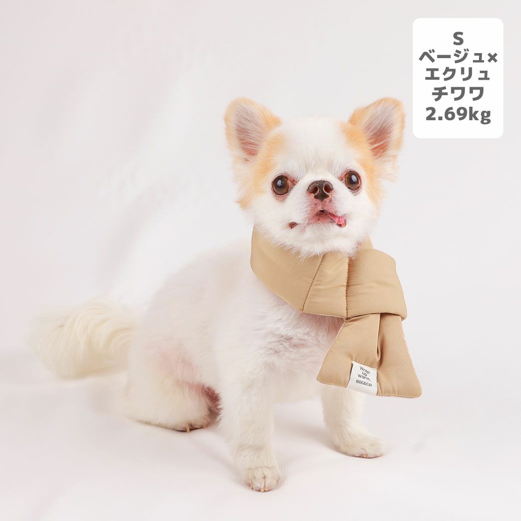 チワワ2.69kg(首21/胴34/丈25cm)の涼央くんはベージュ×エクリュのSを着用