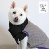 豆柴6.0kg(首31/胴45/丈33cm)のラテちゃんはブラック×グレーのLを着用