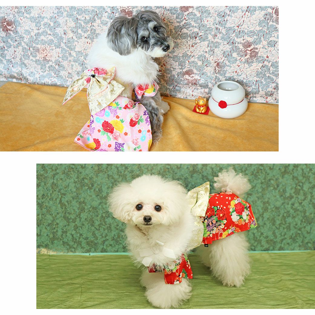 小物使いでオシャレにコーディネート