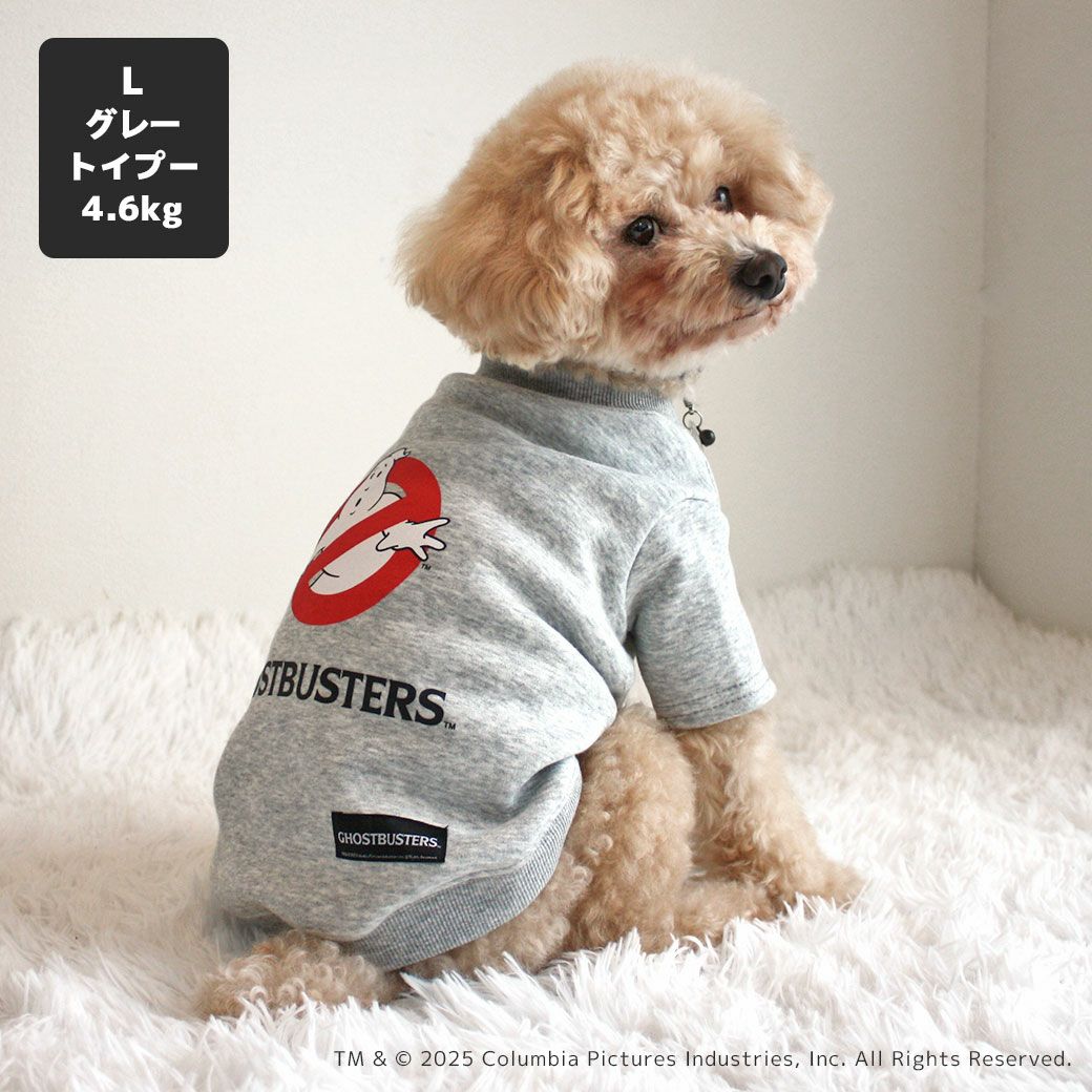 トイプー4.6kg(首25/胴40/丈34cm)のフク丸くんはグレーのLを着用