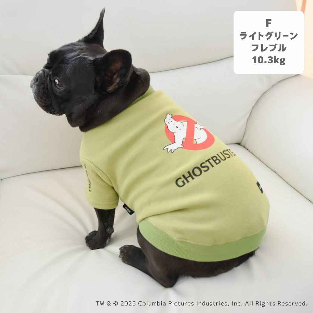 フレブル10.3kg(首38/胴56/丈34cm)のPcheちゃんはライトグリーンのFを着用