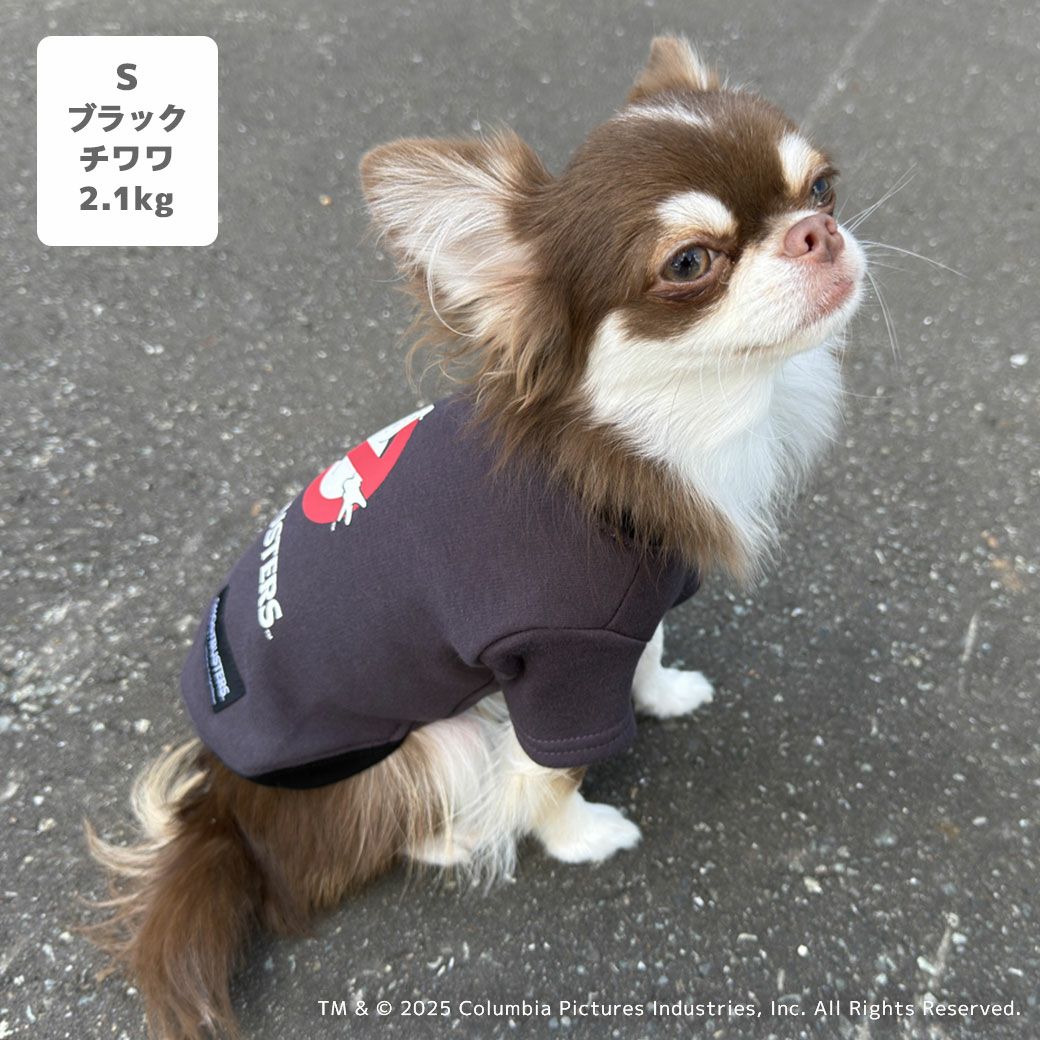 チワワ2.1kg(首19.5/胴30/丈30cm)のオリーブくんはブラックのSを着用