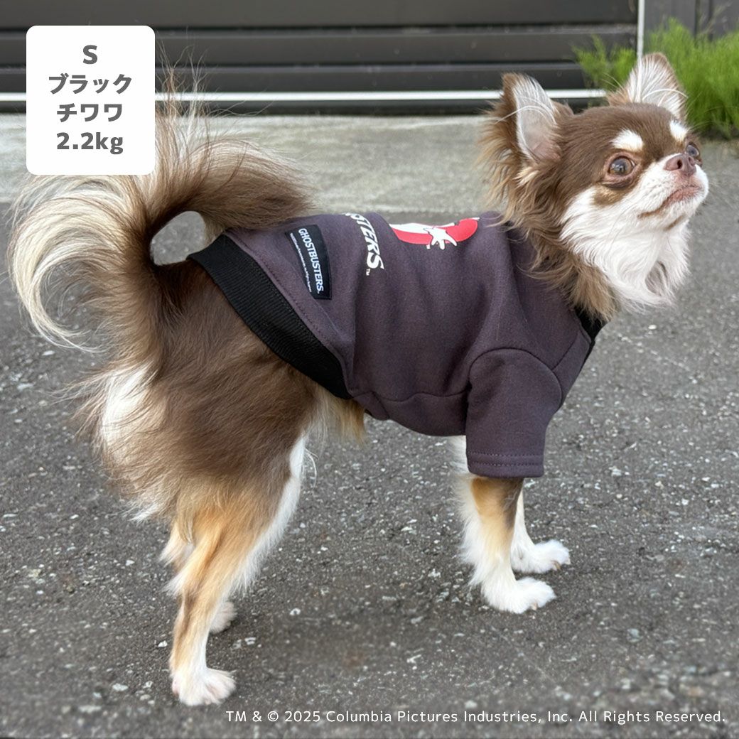 チワワ2.2kg(首18.5/胴30/丈30cm)のピクルスくんはブラックのSを着用