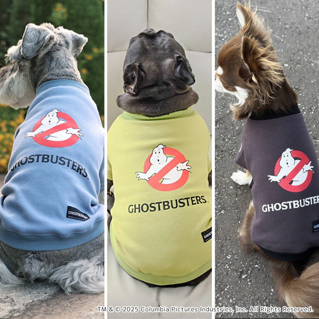 愛犬がGHOSTBUSTERSの一員に