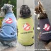 愛犬がGHOSTBUSTERSの一員に
