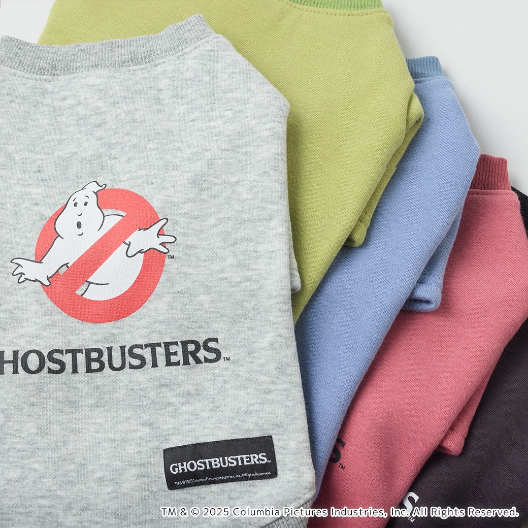 GHOSTBUSTERSをイメージしたカラーリング