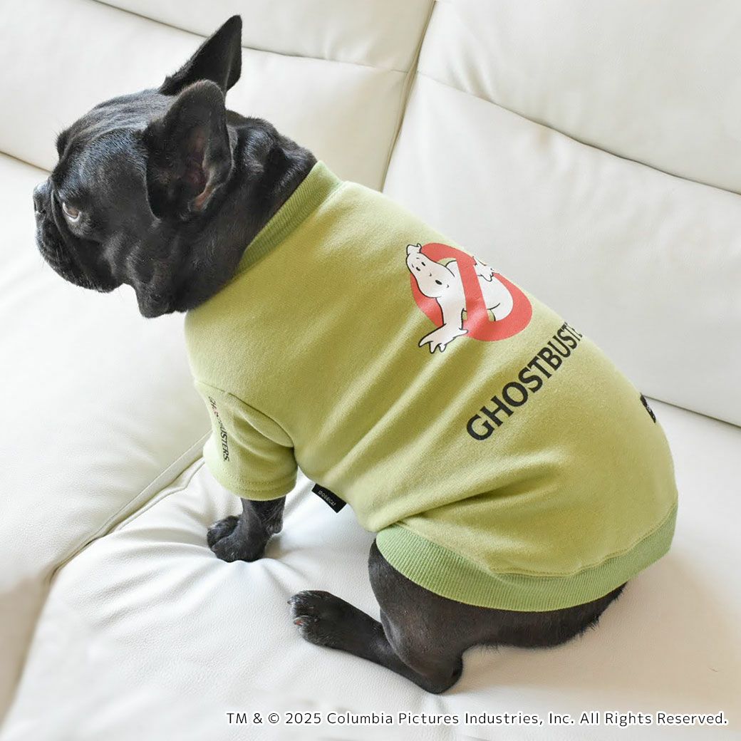 GHOSTたちをやっつけろ