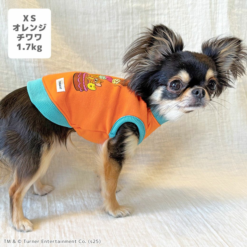チワワ1.7kg(首18/胴23/丈27cm)のざらめちゃんはオレンジのXSを着用