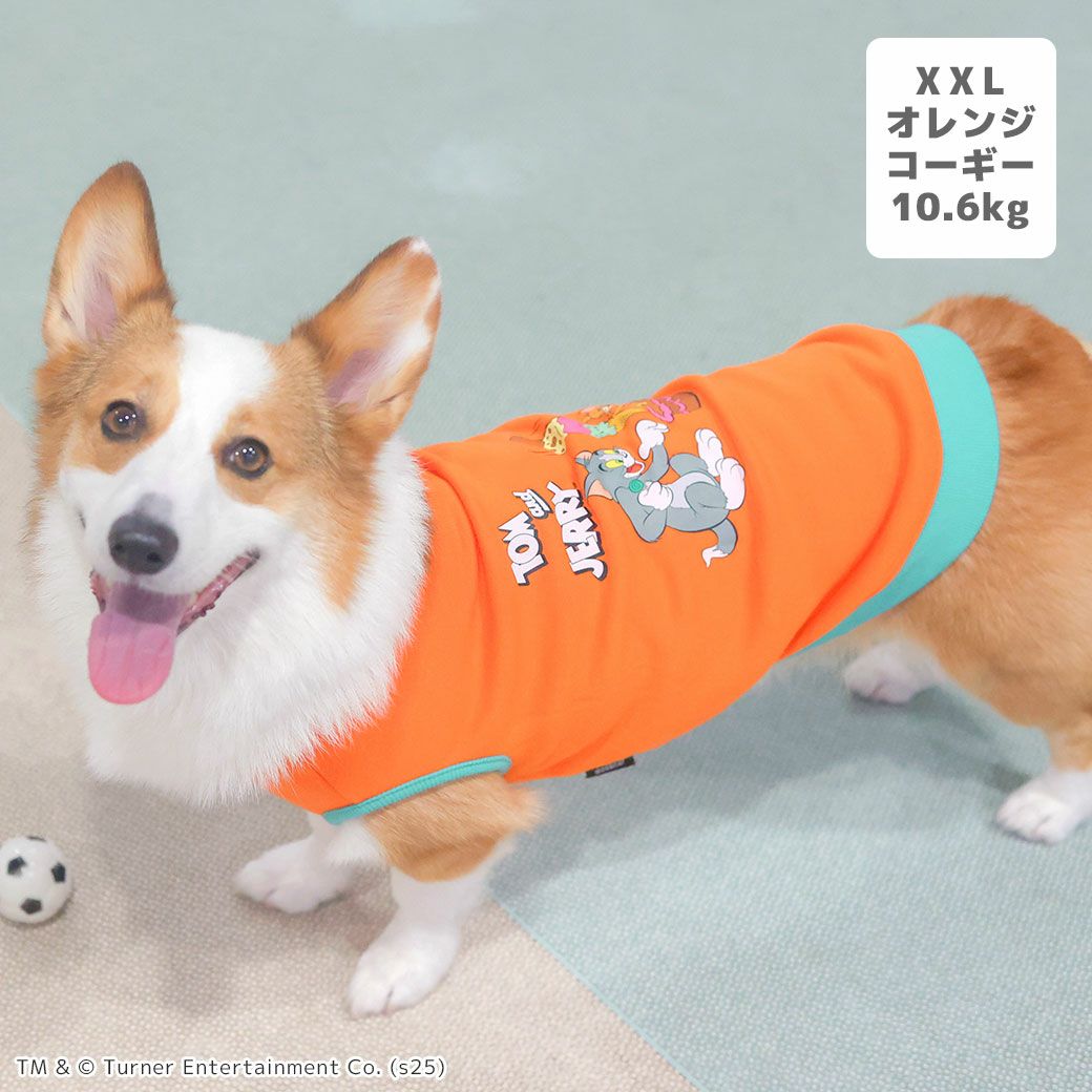 コーギー10.6kg(首36/胴51/丈37cm)のラテちゃんはオレンジのXXLを着用