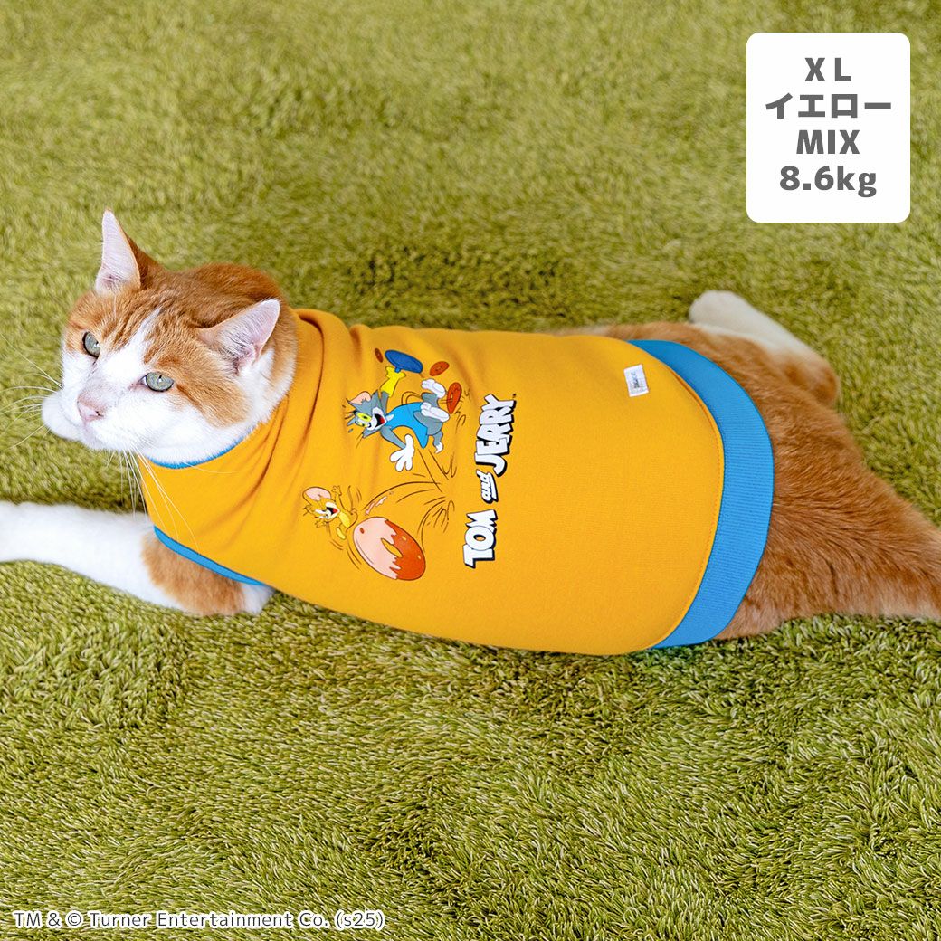 MIX8.6kg(首25/胴54/丈34cm)のゆづるくんはイエローのXLを着用