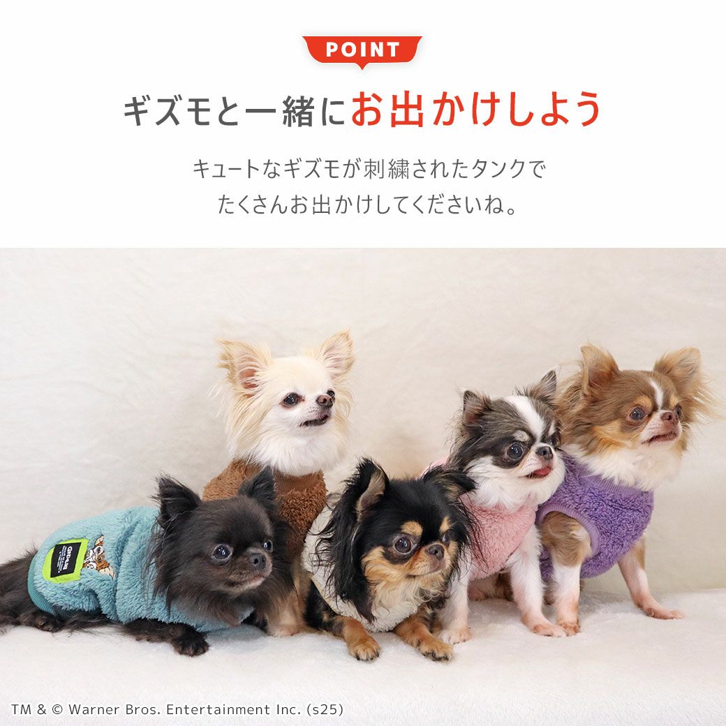 ギズモと一緒にお出かけしよう