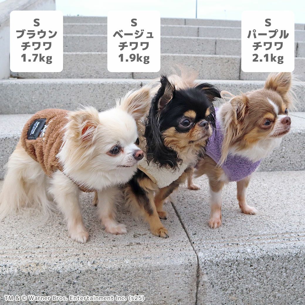 チワワ1.7kg(首18/胴27.5/丈22cm)のトロくんはブラウンのS、1.9kg(首19/胴29.5/丈21.5cm)のウメちゃんはベージュのS、2.1kg(首19.5/胴30.5/丈22cm)の玉青ちゃんはパープルのSを着用
