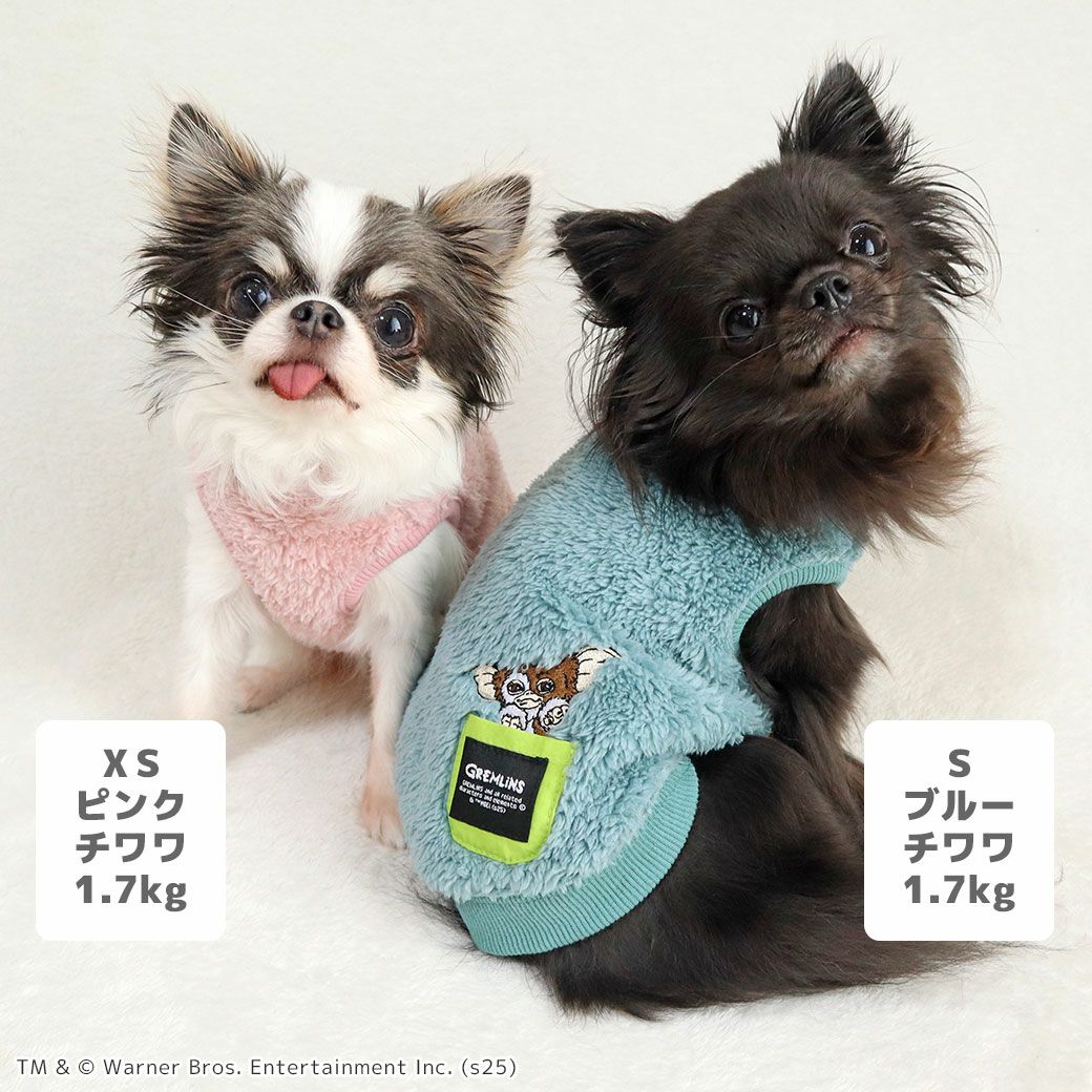 チワワ1.7kg(首18/胴27.5/丈18cm)の小真知ちゃんはピンクのXS、1.7kg(首19/胴28.5/丈21cm)の小桃ちゃんはブルーのSを着用