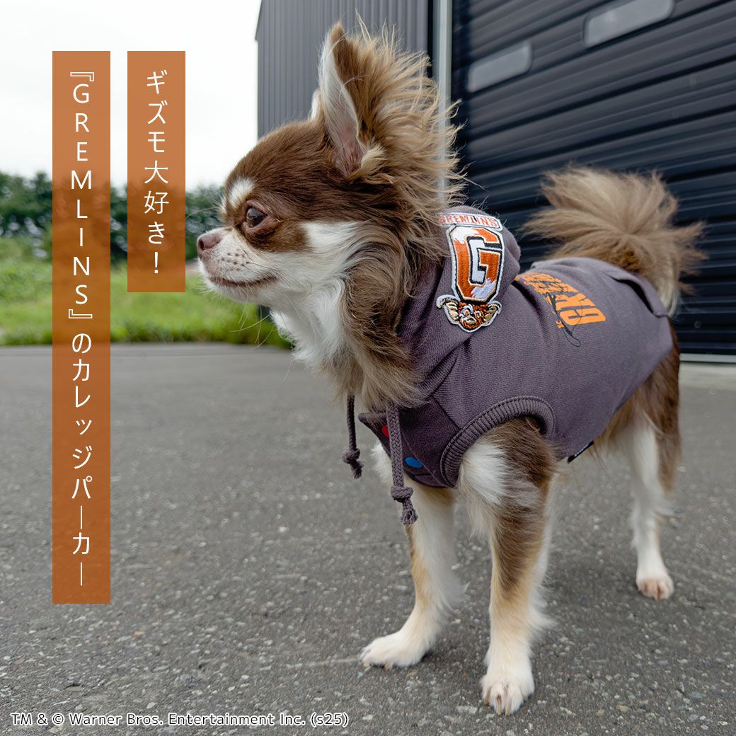 iDogGREMLINSギズモのお散歩スウェットパーカーアイドッグ