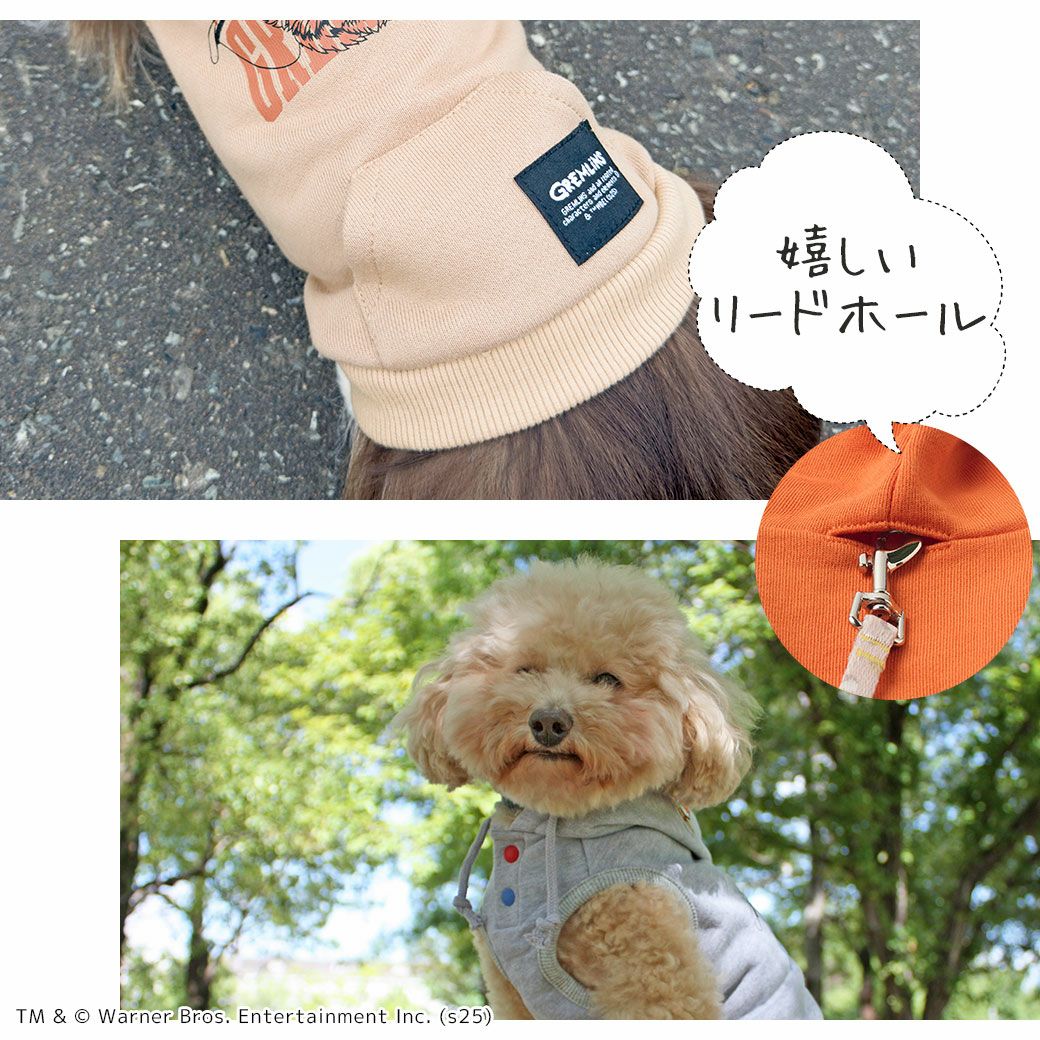 シーズンレスに着せられるスウェット素材