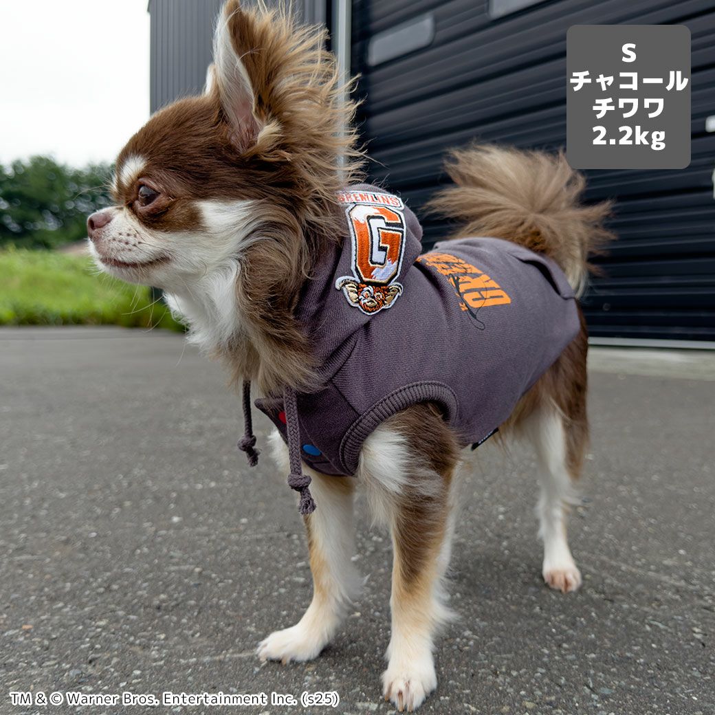 チワワ2.2kg(首18.5/胴30/丈30cm)のピクルスくんはチャコールのSを着用