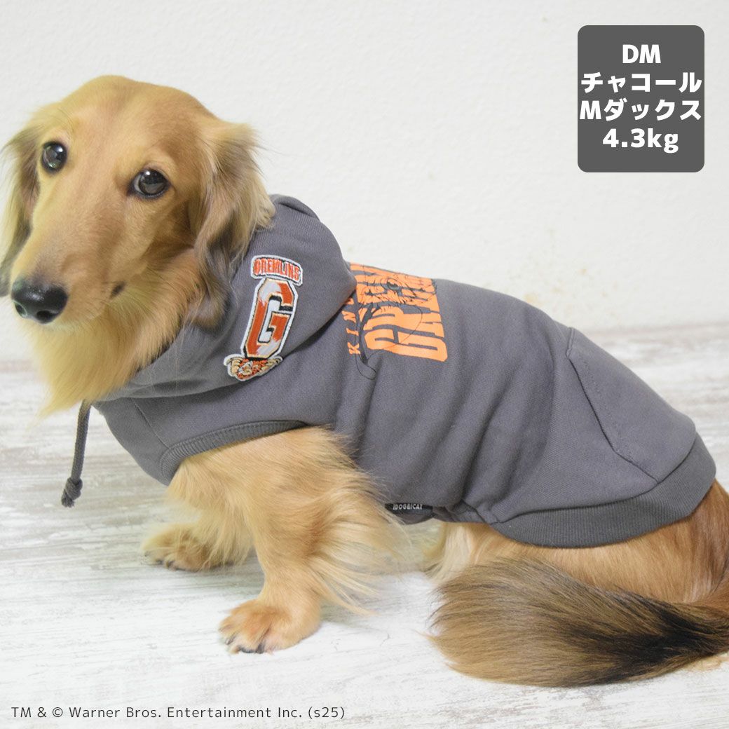 ミニチュアダックス4.3kg(首27/胴40/丈33cm)のALFaくんはチャコールのDMを着用