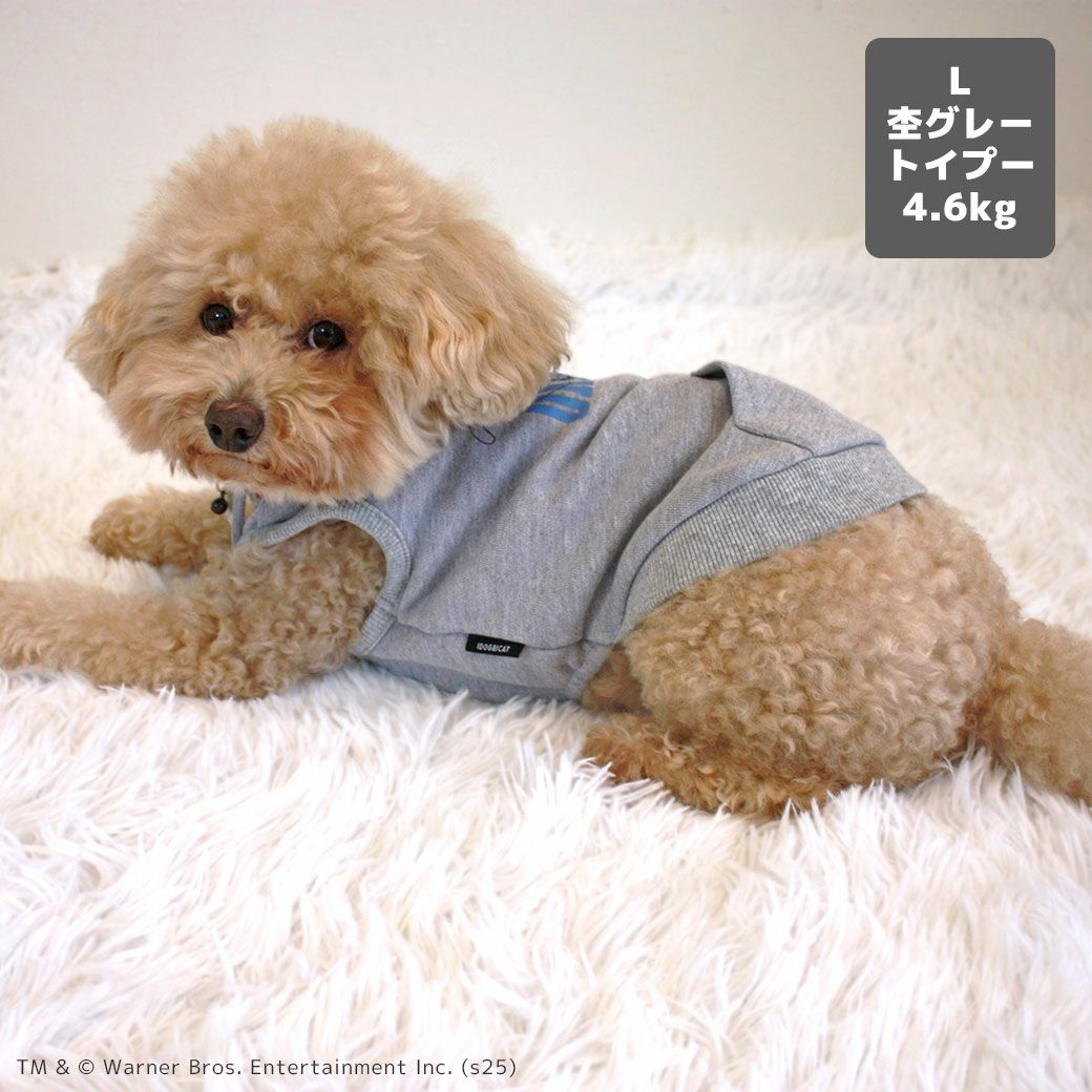 トイプー4.6kg(首25/胴40/丈34cm)のフク丸くんは杢グレーのLを着用