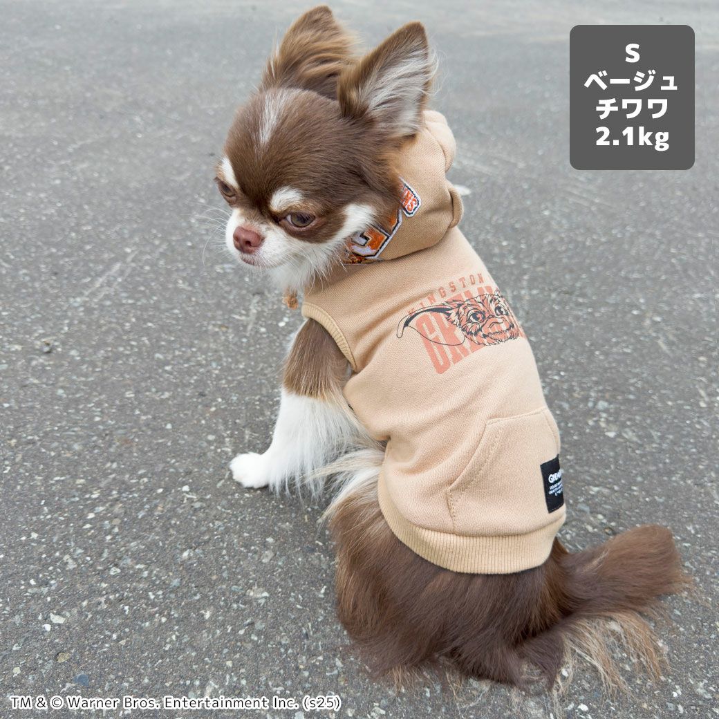 チワワ2.1kg(首19.5/胴30/丈30cm)のオリーブくんはベージュのSを着用