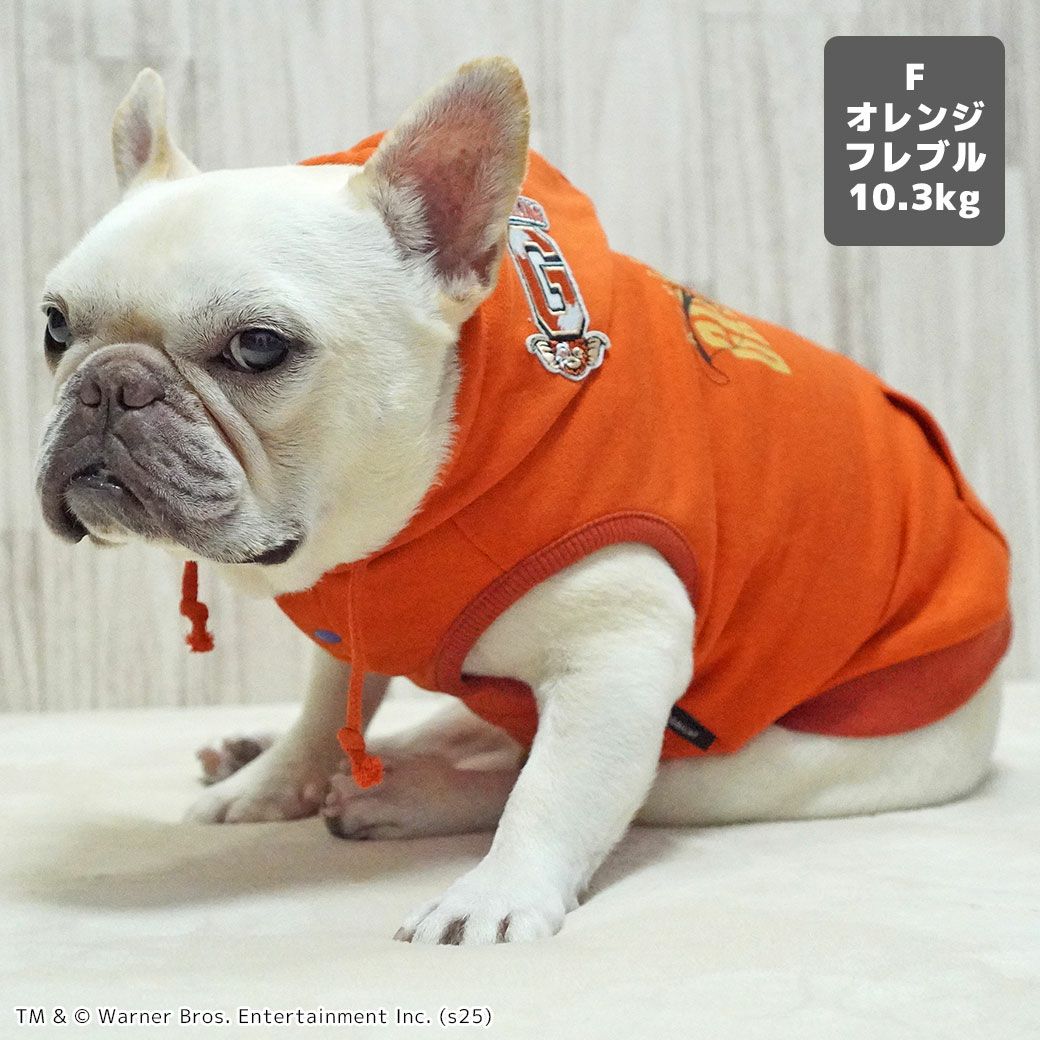 フレブル10.3kg(首38/胴56/丈34cm)のブランくんはオレンジのFを着用